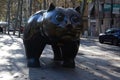Big cat in the heart of Barcelona
