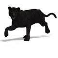 Big Cat Leopard Black