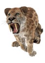 Big Cat Smilodon