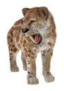 Big Cat Smilodon Royalty Free Stock Photo