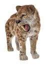 Big Cat Smilodon