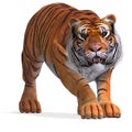 Big Cat Tiger Royalty Free Stock Photo
