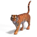 Big Cat Tiger Royalty Free Stock Photo