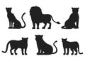 Big cats of Africa and north America isolated vector Royalty Free Stock Photo