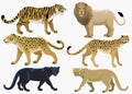 Big cats bundle set Royalty Free Stock Photo