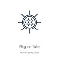 Big cellule icon. Thin linear big cellule outline icon isolated on white background from human body parts collection. Line vector