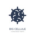 Big Cellule icon. Trendy flat vector Big Cellule icon on white b