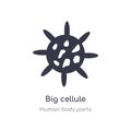 big cellule outline icon. isolated line vector illustration from human body parts collection. editable thin stroke big cellule