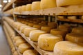 Big cheese wheels at manufacturing closeup. A cheese dairy in a warehouse with cheese