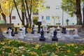 Close up image of outdoor chessboard figures in the park