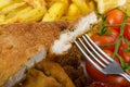 Big Chicken schnitzel with homemade chilli french fries