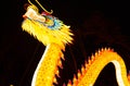 Dragon lantern Royalty Free Stock Photo