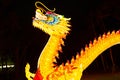 Dragon lantern Royalty Free Stock Photo