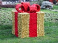 Big Christmas gift on the grass Royalty Free Stock Photo