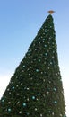 Big Christmas tree Royalty Free Stock Photo