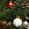 The big Christmas tree in Piazza Nettuno in Bologna