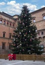 Big Christmas Tree in Piazza Nettuno. Bologna, Italy