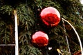 Big Christmas tree red glass balls decoration with reflection of city square