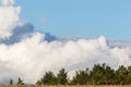 Big and close clouds behind some trees in a wood