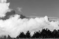 Big and close clouds behind some trees in a wood