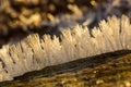 Big close up of snow or ice crystals Royalty Free Stock Photo