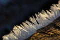 Big close up of snow or ice crystals Royalty Free Stock Photo
