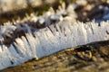 Big close up of snow or ice crystals Royalty Free Stock Photo