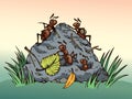 Ants in the anthill. Vector drawing