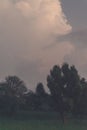 big cloud in the sky during evening - landscape of green field during dusk Royalty Free Stock Photo