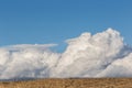 Big clouds over a meadow