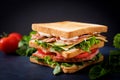 Big Club sandwich with ham, bacon, tomato, cucumber, cheese, eggs and herbs Royalty Free Stock Photo