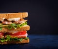 Big Club sandwich with ham, bacon, tomato, cucumber, cheese, eggs and herbs Royalty Free Stock Photo