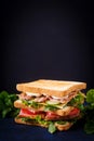 Big Club sandwich with ham, bacon, tomato, cucumber, cheese, eggs and herbs Royalty Free Stock Photo