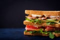 Big Club sandwich with ham, bacon, tomato, cucumber, cheese, eggs and herbs Royalty Free Stock Photo