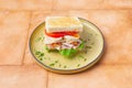 Big Club sandwich with ham, bacon, tomato, cucumber, cheese, eggs and herbs Royalty Free Stock Photo