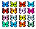 Big collection of colorful butterflies. Vector Royalty Free Stock Photo