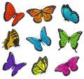 Big collection of colorful butterflies. Vector illustration