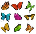 Big collection of colorful butterflies. Vector illustration Royalty Free Stock Photo