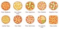 Big collection of different pizza top view with ingredients