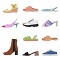 Big collection with different types of modern trendy women shoes Royalty Free Stock Photo