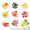 Big collection of fruit in a milk splash. Peach, orange, pear,