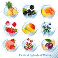 Big collection of fruit in a water splash icons. Royalty Free Stock Photo