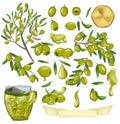 Big Collection with Green olives, Glass jar with olives, branches with olives and leaves, drops oil, tree olive. Vector Royalty Free Stock Photo