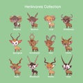 Big collection of herbivore animals with name text