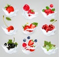 Big collection of icons of fruit and berries in a milk splash.