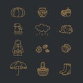 Big collection of linear icons with different autumn and fall symbols. Clothing, jam, weather, mushrooms, harvest etc.