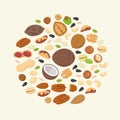 Big collection of nuts and seeds in circle form. Pecan, macadamia, brazil nut, walnut, isolated on white background Royalty Free Stock Photo