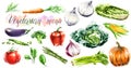 Big Collection, set of watercolor vegetables for vegetarians and healthy food lovers Royalty Free Stock Photo