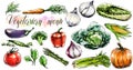 Big Collection, set of watercolor vegetables for vegetarians and healthy food lovers Royalty Free Stock Photo