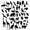 Big collection silhouettes animals and birds. Vector illustration. Isolated hand drawings on white background for design Royalty Free Stock Photo